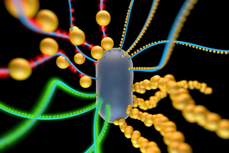 Bio-electrochemical systems